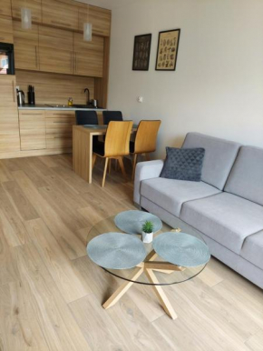 Apartament Nad Zalewem, Dziwnówek